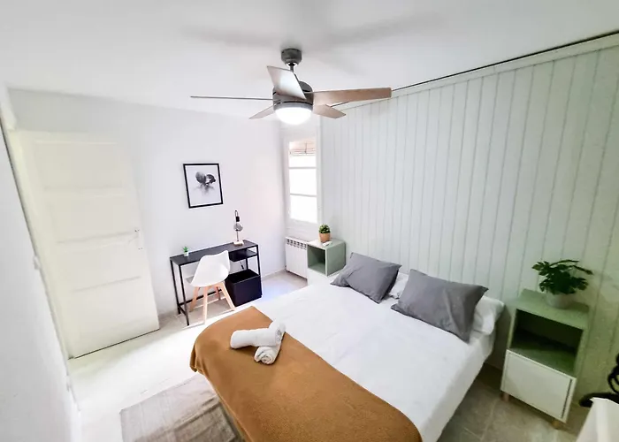 El Tigre Del Pilar Turistea Zaragoza